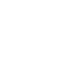 RENAULT | SKAY OTOMOTİV A.Ş